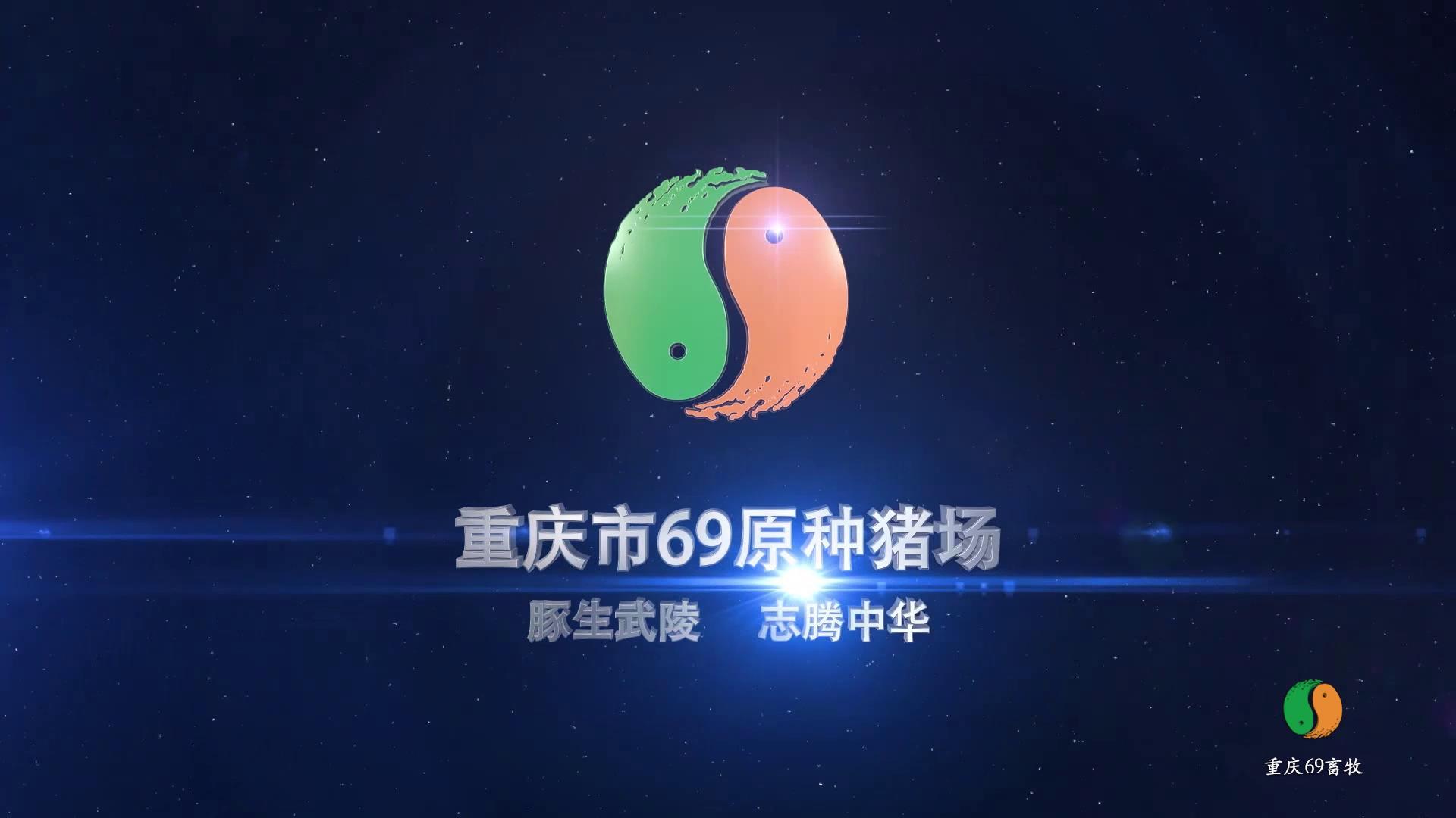 企業視頻